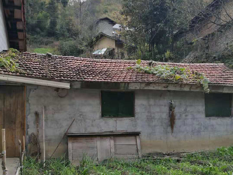 用良好的经营业绩与社会责任感回馈社会！