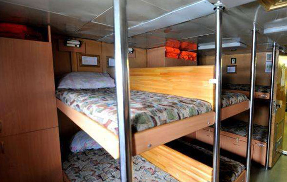 威尼斯备用网站