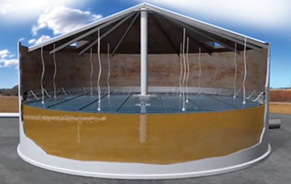 威尼斯备用网站